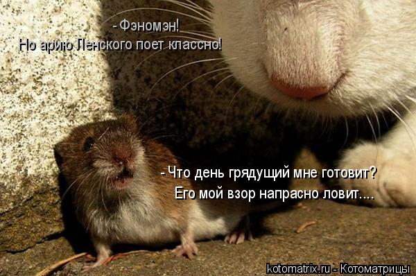 Котоматрица: Его мой взор напрасно ловит.... - Что день грядущий мне готовит?  Но арию Ленского поет классно! - Фэномэн!