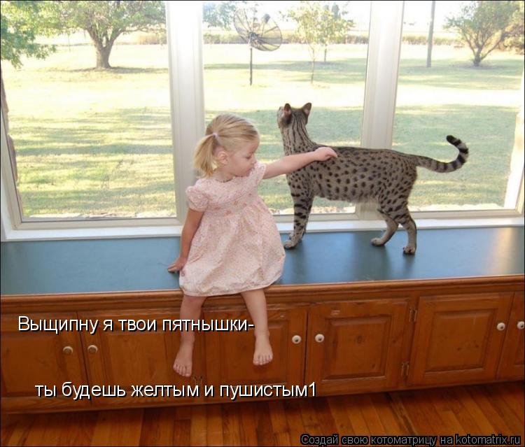 Котоматрица: Выщипну я твои пятнышки- ты будешь желтым и пушистым1
