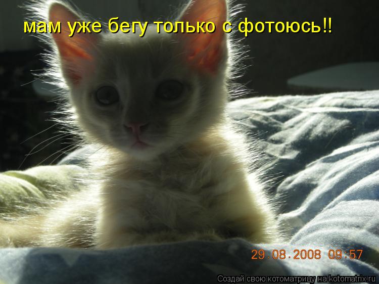 мам уже бегу только с фотоюсь!!... Котоматрица: мам уже бегу только с фотоюсь!!