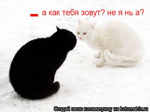 - а как тебя зовут? не я нь а?... Котоматрица: - а как тебя зовут? не я нь а?
