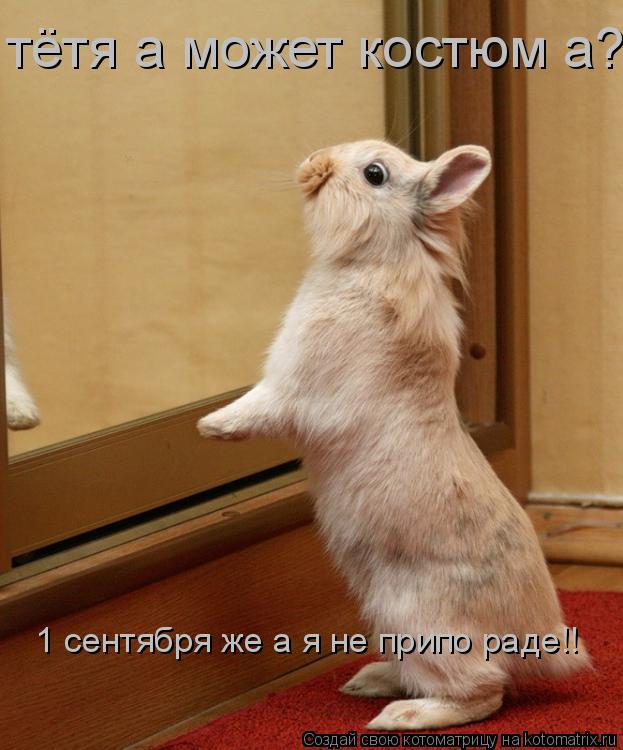 тётя а может костюм а? 1 сентября же а я не припо раде!!... Котоматрица: тётя а может костюм а? 1 сентября же а я не припо раде!!