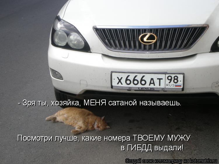 - Зря ты, хозяйка, МЕНЯ сатаной называешь. Посмотри лучше, какие номера ТВОЕМУ МУЖУ в ГИБДД выдали!... Котоматрица: - Зря ты, хозяйка, МЕНЯ сатаной называешь. Посмотри лучше, какие номера ТВОЕМУ МУЖУ в ГИБДД выдали!