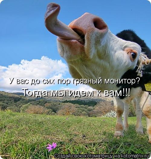 У вас до сих пор грязный монитор? Тогда мы идем к вам!!!... Котоматрица: У вас до сих пор грязный монитор? Тогда мы идем к вам!!!