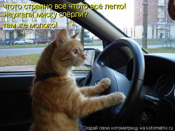 чтото странно всё чтото всё легко! неужели миску спёрли? там же молоко!... Котоматрица: чтото странно всё чтото всё легко! неужели миску спёрли? там же молоко!
