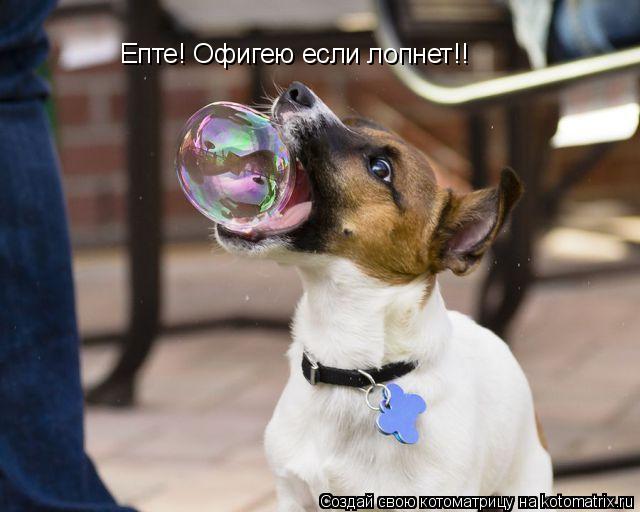Епте! Офигею если лопнет!!... Котоматрица: Епте! Офигею если лопнет!!