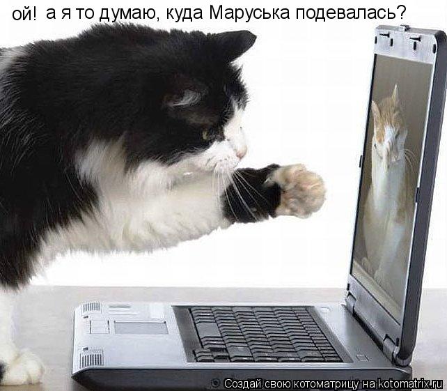 ой! а я то думаю, куда Маруська подевалась?... Котоматрица: ой! а я то думаю, куда Маруська подевалась?