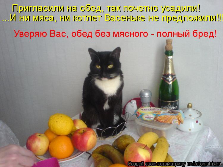 Котоматрица: Пригласили на обед, так почетно усадили! ...И ни мяса, ни котлет Васеньке не предложили!!! Уверяю Вас, обед без мясного - полный бред!