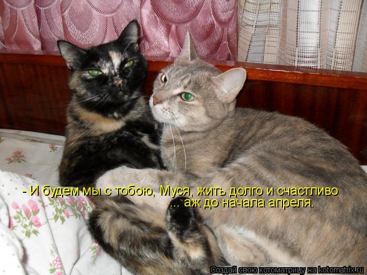 Котоматрица: ... аж до начала апреля. - И будем мы с тобою, Муся, жить долго и счастливо