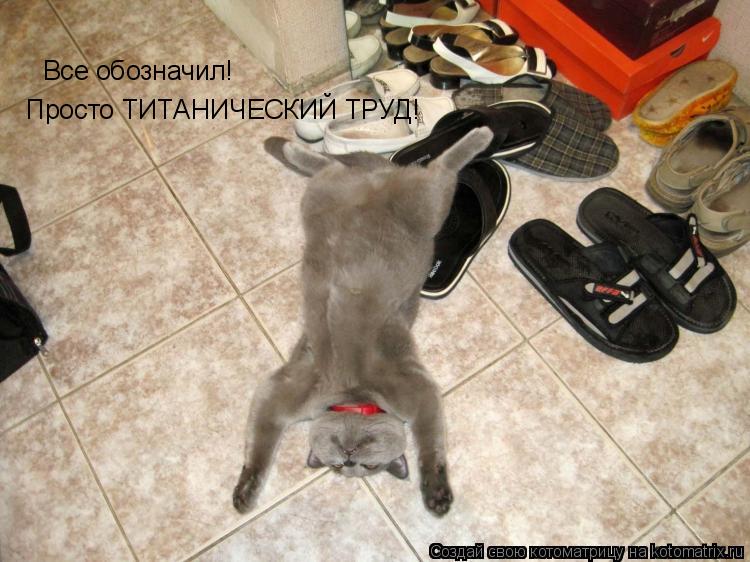 Все обозначил! Просто ТИТАНИЧЕСКИЙ ТРУД!... Котоматрица: Все обозначил! Просто ТИТАНИЧЕСКИЙ ТРУД!