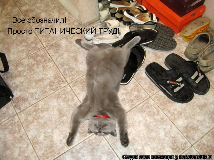 Котоматрица: Все обозначил! Просто ТИТАНИЧЕСКИЙ ТРУД!