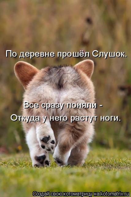 По деревне прошёл Слушок. Все сразу поняли - Откуда у него растут ноги.... Котоматрица: По деревне прошёл Слушок. Все сразу поняли - Откуда у него растут ноги.