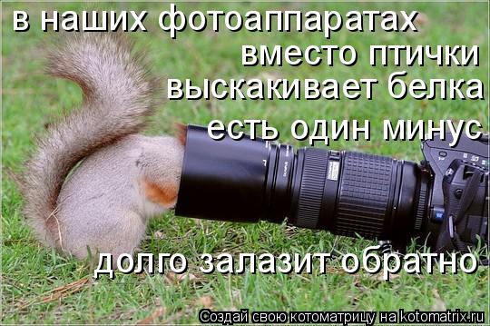 в наших фотоаппаратах вместо птички выскакивает белка есть один минус долго залазит обратно... Котоматрица: в наших фотоаппаратах вместо птички выскакивает белка есть один минус долго залазит обратно
