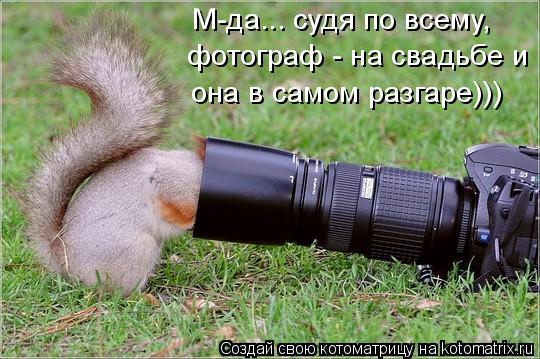 М-да... судя по всему, фотограф - на свадьбе и она в самом разгаре)))... Котоматрица: М-да... судя по всему, фотограф - на свадьбе и она в самом разгаре)))