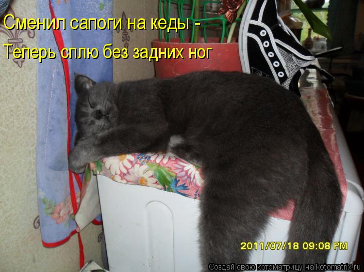 Сменил сапоги на кеды - Теперь сплю без задних ног... Котоматрица: Сменил сапоги на кеды - Теперь сплю без задних ног