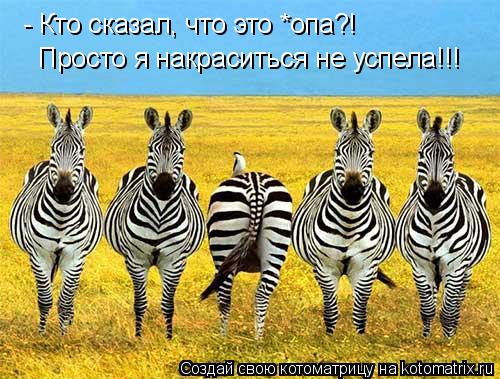 - Кто сказал, что это *опа?! Просто я накраситься не успела!!!... Котоматрица: - Кто сказал, что это *опа?! Просто я накраситься не успела!!!