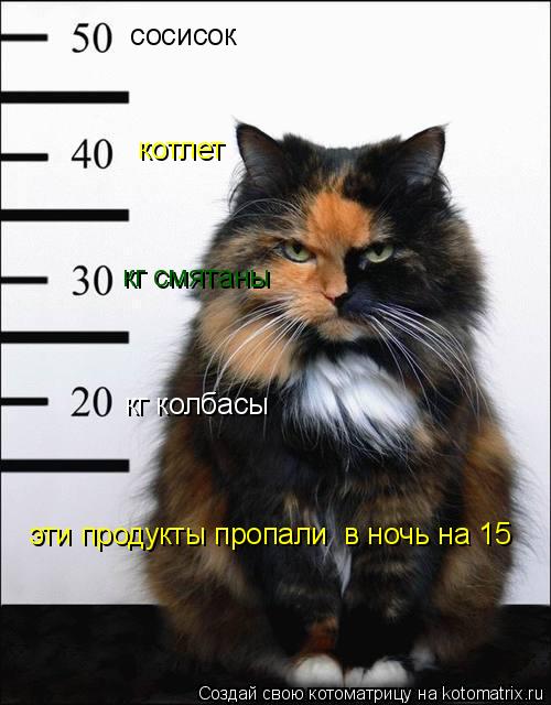 кг смятаны кг колбасы сосисок котлет эти продукты пропали в ночь на 15... Котоматрица: кг смятаны кг колбасы сосисок котлет эти продукты пропали в ночь на 15