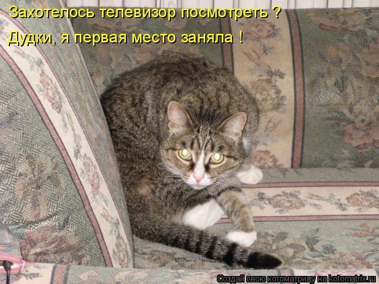 Захотелось телевизор посмотреть ? Дудки, я первая место заняла. Дудки, я первая место заняла !... Котоматрица: Захотелось телевизор посмотреть ? Дудки, я первая место заняла. Дудки, я первая место заняла !