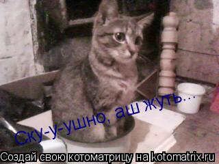 Ску-у-ушно, аш жуть...... Котоматрица: Ску-у-ушно, аш жуть...