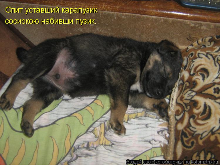 Спит уставший карапузик сосискою набивши пузик.... Котоматрица: Спит уставший карапузик сосискою набивши пузик.
