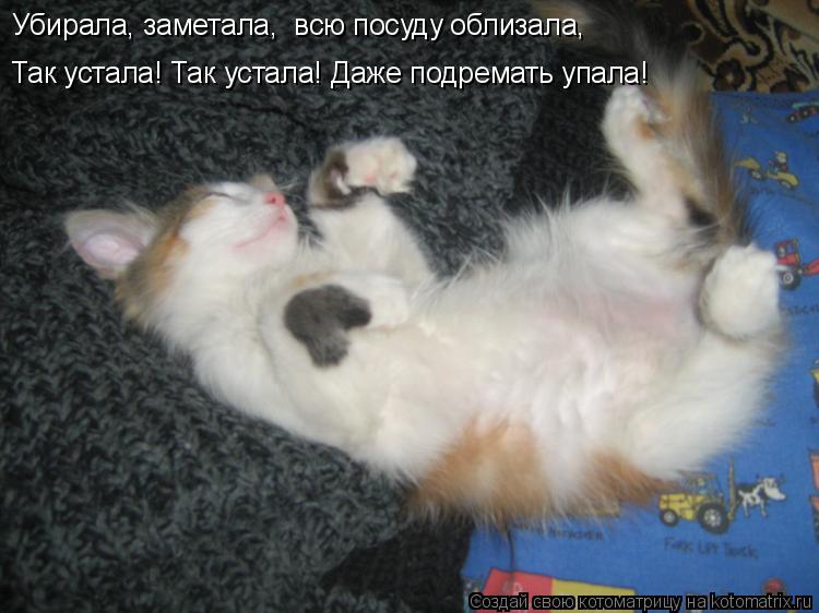 Убирала, заметала, всю посуду облизала, Так устала! Так устала! Даже подремать упала!... Котоматрица: Убирала, заметала, всю посуду облизала, Так устала! Так устала! Даже подремать упала!