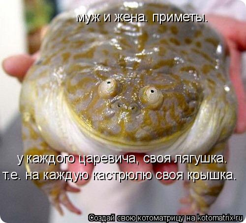 у каждого царевича, своя лягушка. муж и жена. приметы. т.е. на каждую кастрюлю своя крышка.... Котоматрица: у каждого царевича, своя лягушка. муж и жена. приметы. т.е. на каждую кастрюлю своя крышка.