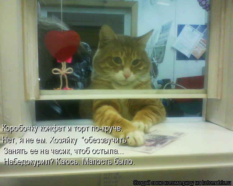 Котоматрица: Коробочку конфет и торт по-круче. Нет, я не ем. Хозяйку  "обеззвучить". Занять ее на часик, чтоб остыла... Набедокурил? Каюсь. Малость было.