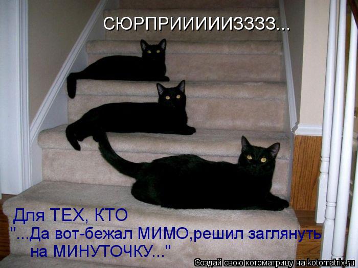 СЮРПРИИИИИЗЗЗЗ... Для ТЕХ, КТО "...Да вот-бежал МИМО,решил заглянуть на МИНУТОЧКУ..."... Котоматрица: СЮРПРИИИИИЗЗЗЗ... Для ТЕХ, КТО "...Да вот-бежал МИМО,решил заглянуть на МИНУТОЧКУ..."