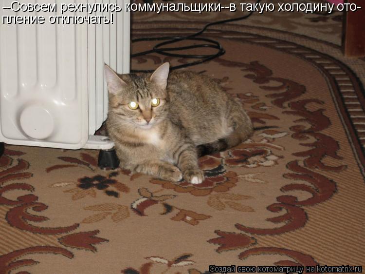 --Совсем рехнулись коммунальщики--в такую холодину ото- пление отключать!... Котоматрица: --Совсем рехнулись коммунальщики--в такую холодину ото- пление отключать!
