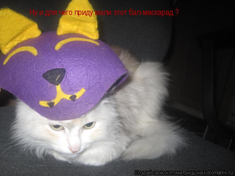 Ну и для чего приду мали этот бал-маскарад ?... Котоматрица: Ну и для чего приду мали этот бал-маскарад ?