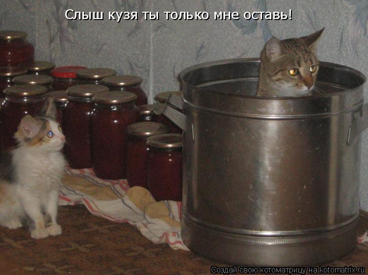 Слыш кузя ты только мне оставь!... Котоматрица: Слыш кузя ты только мне оставь!