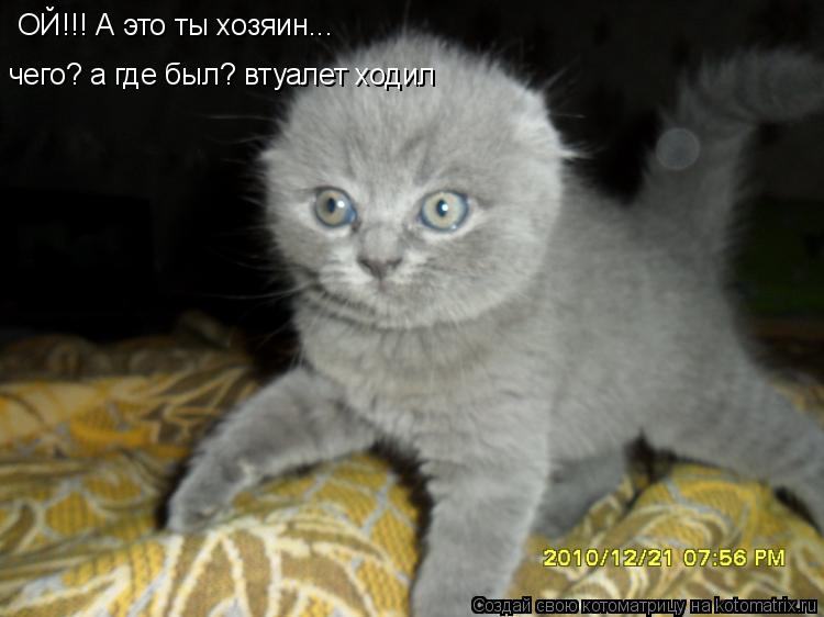 ОЙ!!! А это ты хозяин... чего? а где был? втуалет ходил... Котоматрица: ОЙ!!! А это ты хозяин... чего? а где был? втуалет ходил