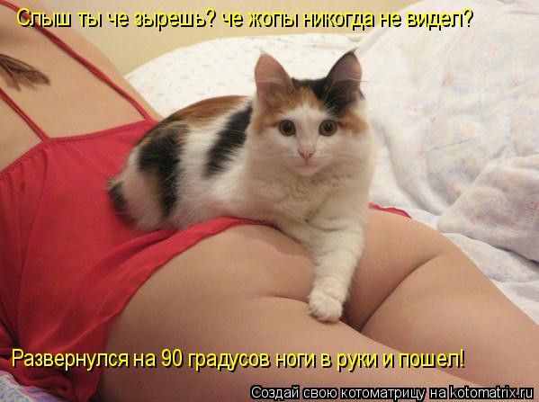 Развернулся на 90 градусов ноги в руки и пошел! Слыш ты че зырешь? че жопы никогда не видел?... Котоматрица: Развернулся на 90 градусов ноги в руки и пошел! Слыш ты че зырешь? че жопы никогда не видел?