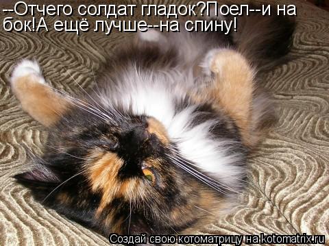 --Отчего солдат гладок?Поел--и на бок!А ещё лучше--на спину!... Котоматрица: --Отчего солдат гладок?Поел--и на бок!А ещё лучше--на спину!