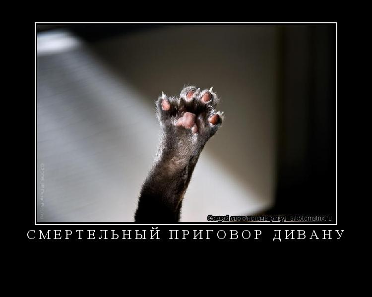 Смертельный приговор дивану ... Котоматрица: Смертельный приговор дивану