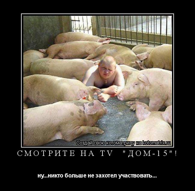 Смотрите на TV "Дом-15"! ну...никто больше не захотел участвовать...... Котоматрица: Смотрите на TV "Дом-15"! ну...никто больше не захотел участвовать...
