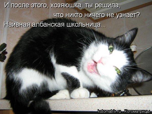И после этого, хозяюшка, ты решила, что никто ничего не узнает? Наивная албанская школьница...... Котоматрица: И после этого, хозяюшка, ты решила, что никто ничего не узнает? Наивная албанская школьница...