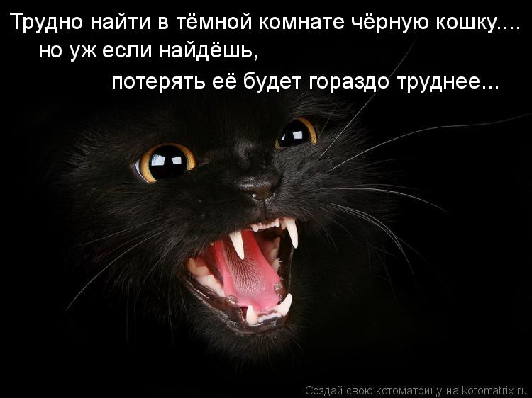 Трудно найти в тёмной комнате чёрную кошку.... но уж если найдёшь, потерять её будет гораздо труднее... Котоматрица: Трудно найти в тёмной комнате чёрную кошку.... но уж если найдёшь, потерять её будет гораздо труднее...