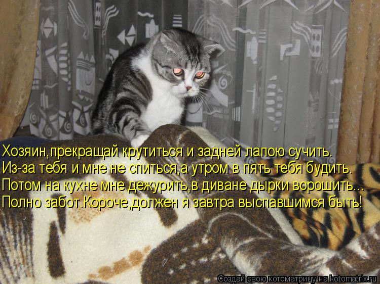 Хозяин,прекращай крутиться и задней лапою сучить. Из-за тебя и мне не спиться,а утром в пять тебя буд... Котоматрица: Хозяин,прекращай крутиться и задней лапою сучить. Из-за тебя и мне не спиться,а утром в пять тебя будить. Полно забот.Короче,должен я завтра