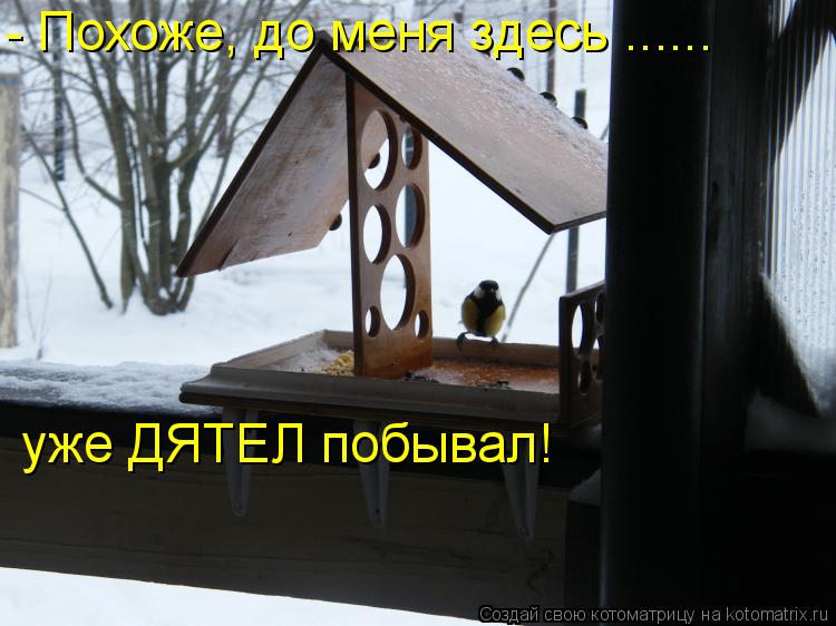 - Похоже, до меня здесь ...... уже ДЯТЕЛ побывал!... Котоматрица: - Похоже, до меня здесь ...... уже ДЯТЕЛ побывал!