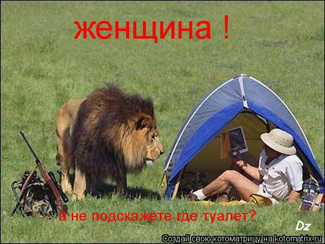 женщина ! а не подскажете где туалет?... Котоматрица: женщина ! а не подскажете где туалет?
