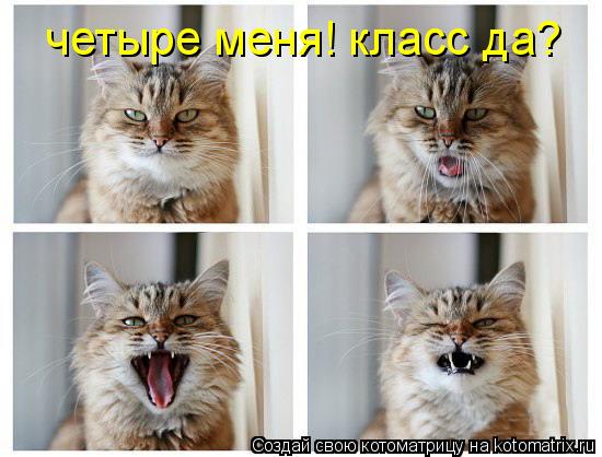 четыре меня! класс да?... Котоматрица: четыре меня! класс да?