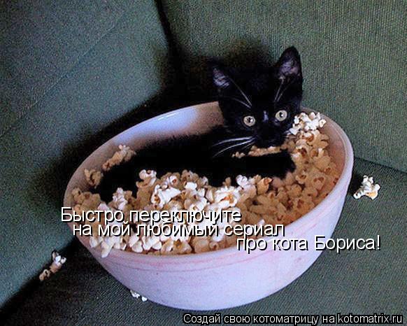 Котоматрица: Быстро переключите Быстро переключите на мой любимый сериал про кота Бориса!