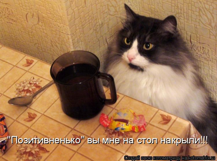 "Позитивненько" вы мне на стол накрыли!!!... Котоматрица: "Позитивненько" вы мне на стол накрыли!!!