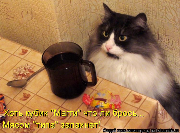 Хоть кубик "Магги" что ли брось... Мясом "типа" запахнет!... Котоматрица: Хоть кубик "Магги" что ли брось... Мясом "типа" запахнет!