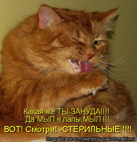 Какая же ТЫ-ЗАНУДА!!!! Да МЫЛ я лапы,МЫЛ !!! ВОТ! Смотри! -СТЕРИЛЬНЫЕ !!!!... Котоматрица: Какая же ТЫ-ЗАНУДА!!!! Да МЫЛ я лапы,МЫЛ !!! ВОТ! Смотри! -СТЕРИЛЬНЫЕ !!!!