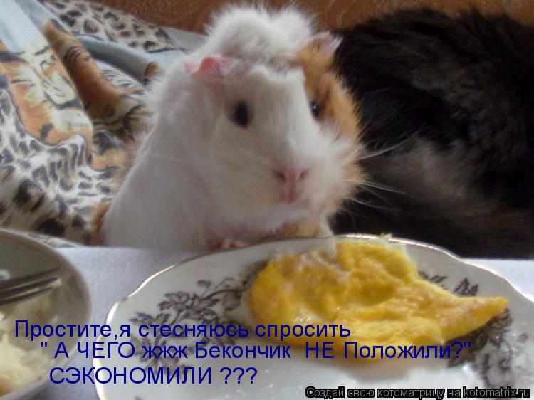 " А ЧЕГО жжж Бекончик НЕ Положили?" Простите,я стесняюсь спросить СЭКОНОМИЛИ ???... Котоматрица: " А ЧЕГО жжж Бекончик НЕ Положили?" Простите,я стесняюсь спросить СЭКОНОМИЛИ ???