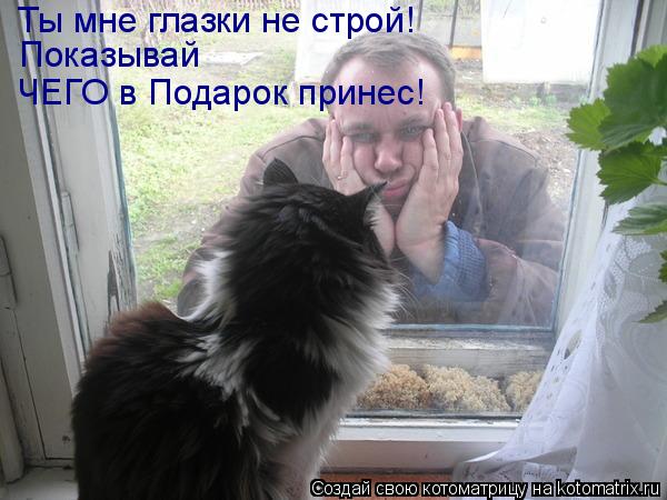 Ты мне глазки не строй! Показывай ЧЕГО в Подарок принес!... Котоматрица: Ты мне глазки не строй! Показывай ЧЕГО в Подарок принес!