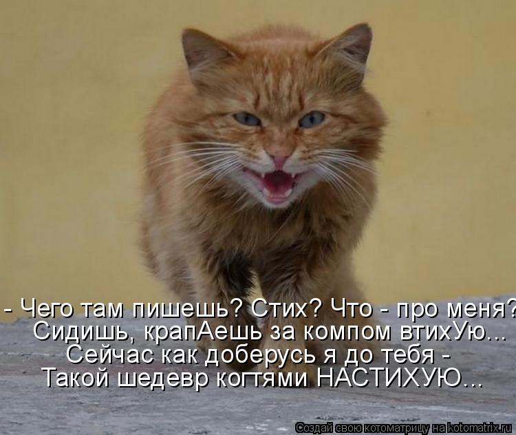 - Чего там пишешь? Стих? Что - про меня? Сидишь, крапАешь за компом втихУю... Сейчас как доберусь я д... Котоматрица: - Чего там пишешь? Стих? Что - про меня? Сидишь, крапАешь за компом втихУю... Сейчас как доберусь я до тебя - Такой шедевр когтями НАСТИХУЮ...