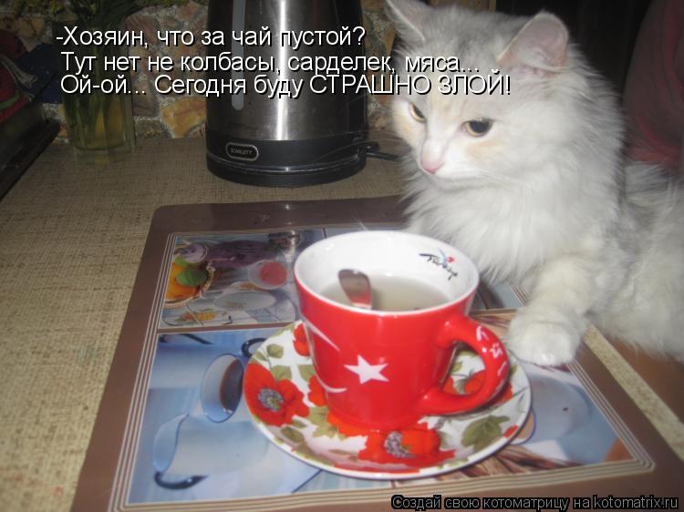 -Хозяин, что за чай пустой? Тут нет не колбасы, сарделек, мяса... Ой-ой... Сегодня буду СТРАШНО ЗЛОЙ!... Котоматрица: -Хозяин, что за чай пустой? Тут нет не колбасы, сарделек, мяса... Ой-ой... Сегодня буду СТРАШНО ЗЛОЙ!