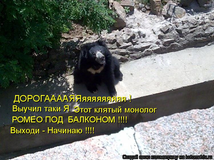 ДОРОГААААЯЯяяяяяяяяя ! Выучил таки Я Этот клятый монолог РОМЕО ПОД БАЛКОНОМ !!!! Выходи - Начина... Котоматрица: ДОРОГААААЯЯяяяяяяяяя ! Выучил таки Я Этот клятый монолог РОМЕО ПОД БАЛКОНОМ !!!! Выходи - Начинаю !!!!